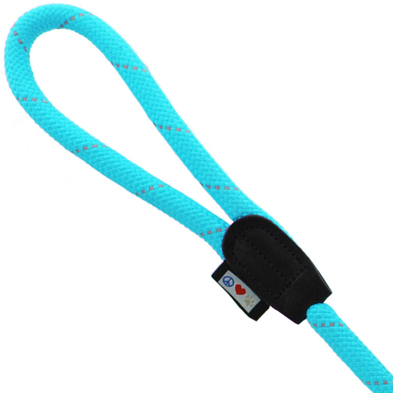 [Australia] - Pawtitas Training Dog Leash 6ft Extremely Durable Rope Leash for Dogs Premium Quality Heavy Duty Rope Lead Strong and Comfortable Extra Small/Small Teal 