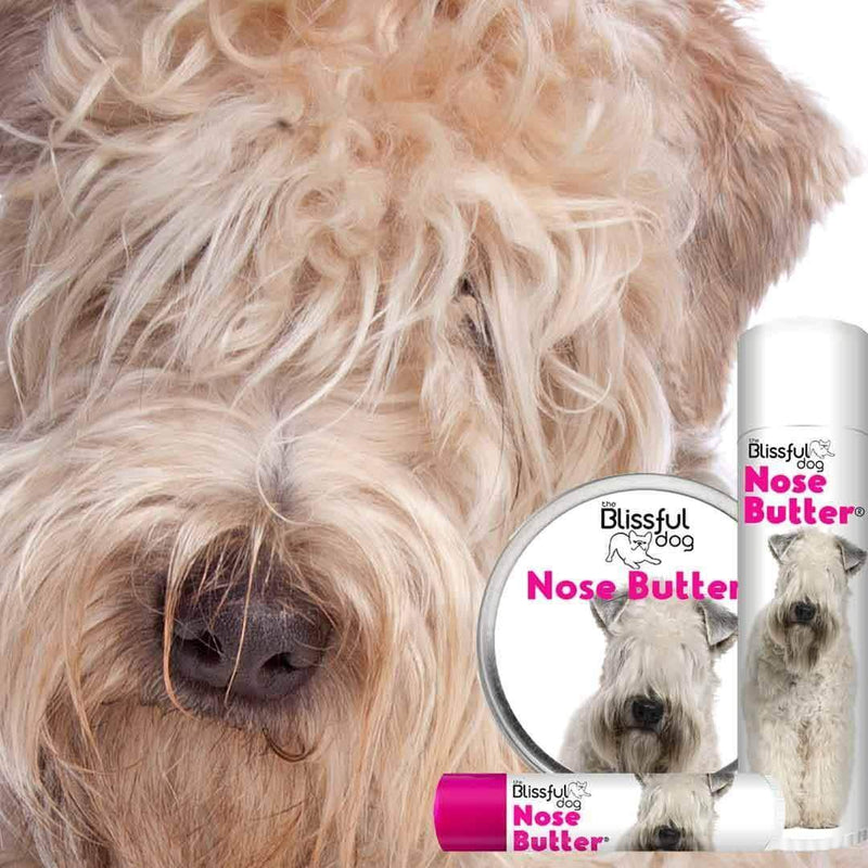 The Blissful Dog Nose Butter for Dry Dog Nose Soft Coated Wheaten Terrier Scented 4 Ounce - PawsPlanet Australia