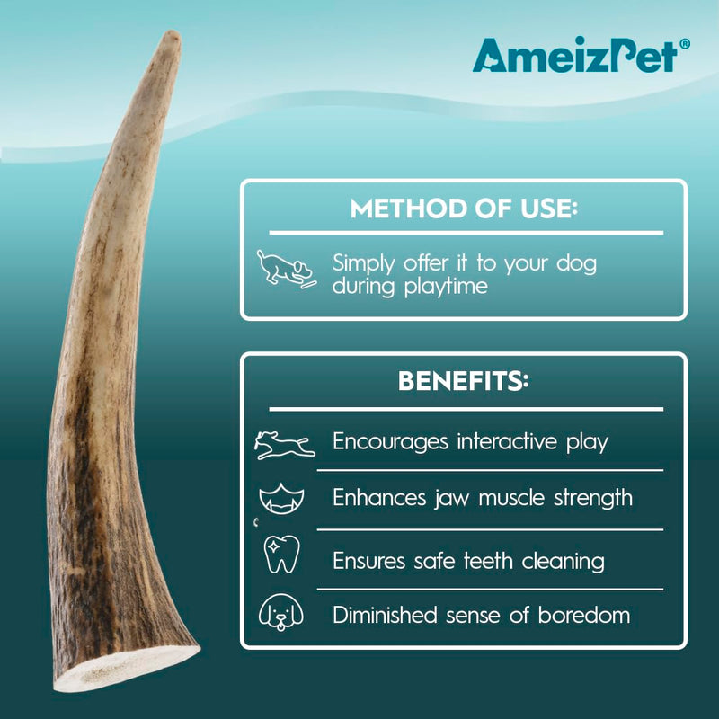 AmeizPet Antlers for dogs, natural, durable dog chew bone, deer chew bone for the dog, deer antler, long-lasting - 1 piece M size M size 1 pc - PawsPlanet Australia