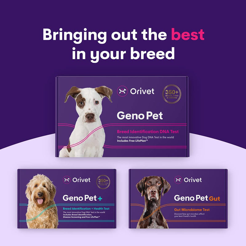 Orivet Genopet Dog DNA Test | Dog Breed Test Kit, Genetic Testing, Heritable Health Risks and Life Plan - PawsPlanet Australia