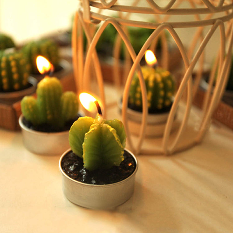 Outee 12 Pcs Cactus Tealight Candles Handmade Delicate Succulent Cactus Candles Flameless Aromatherapy 12 Designs for Birthday Party Wedding Spa - PawsPlanet Australia