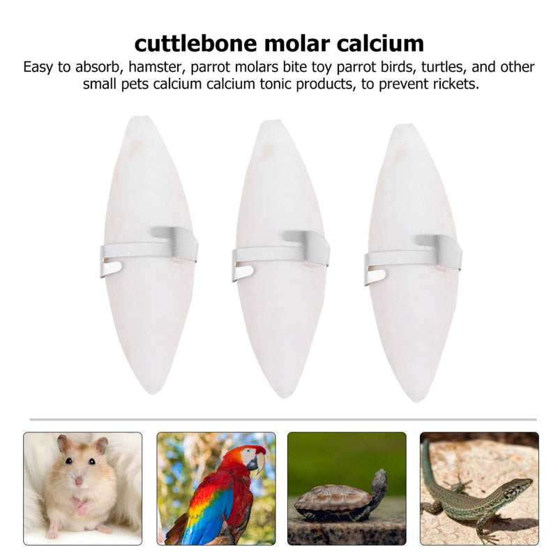 Balacoo Bird Cuttlebone for Parakeets, Natural Cuddle Bone with Metal Holder, Chewing Cuttlefish Bone for Natural Birds Calcium Suitable for Parrot Cockatiels (6 Pack) - PawsPlanet Australia