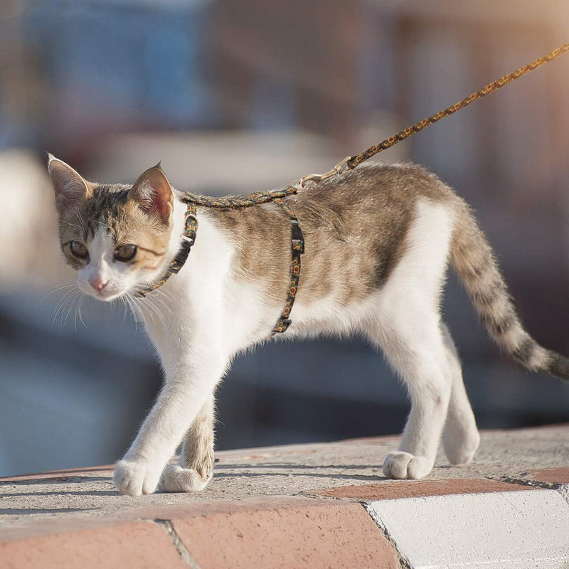 [Australia] - SCIROKKO Cat Harness with Leash Set - Cute Fabric with Sunflower Pattern - Escape Proof and Adjustable for Walking Black 