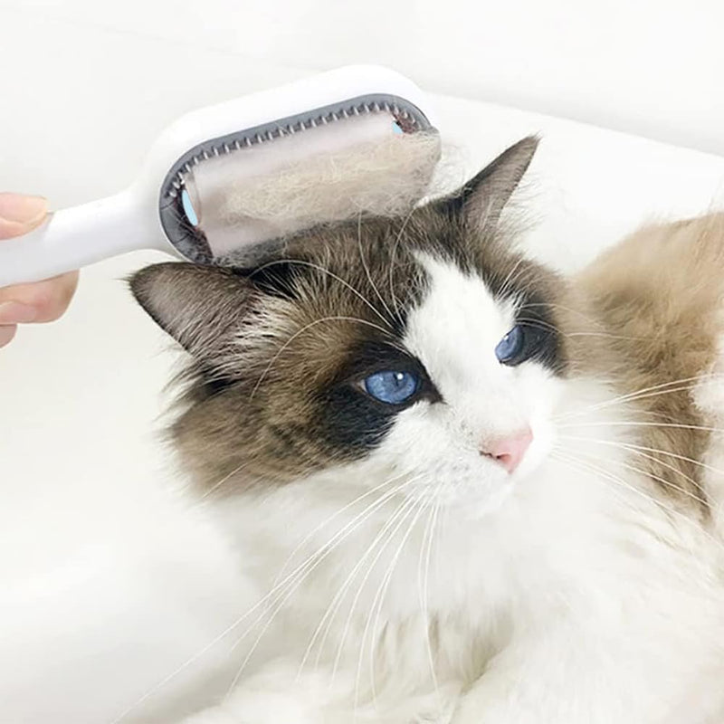 Hilloly Pet Grooming Brush, Bath Brush for Pets, Pet Cleaning Brush Floating Hair Brush, Hair Removal Brush with Water Tank, Dog Cat Hair Brush for Grooming and Grooming - PawsPlanet Australia