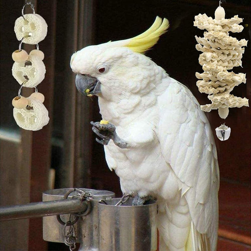 JIAYUE Bird Parrot Swing Toys - 12pcs, Parrots Chewing Toys Natural Wood Bungee Bird Toy for Small Parakeets, Cockatiels, Conures, Finches, Budgie, Macaws, Parrots, Love Birds Cage Accessories - PawsPlanet Australia