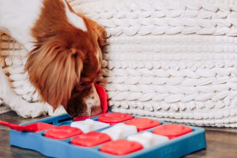 Nina Ottosson by Outward Hound Dog Brick Interactive Treat Puzzle Dog Toy, Intermediate - PawsPlanet Australia