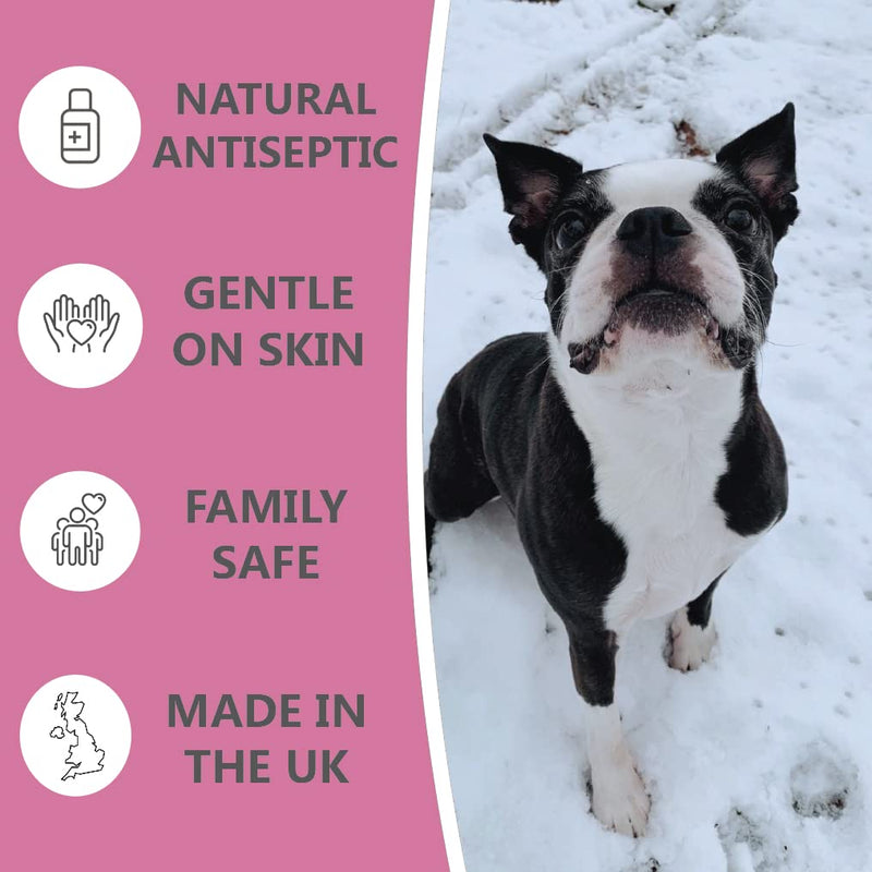 Pets Purest Wound & Antiseptic Spray for Dogs, Cats & Pets - 100% Natural Spray on Plaster Treatment for Healing, Soothing & Pet First Aid Health Supplies Kits - 65ml - PawsPlanet Australia