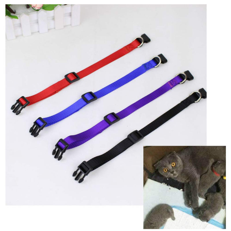 None Branded 16 Pcs Dog Collar Puppy ID Collars Nylon Polychromatic Adjustable Collars 20cm-33cm for Small Dogs and Cats - PawsPlanet Australia