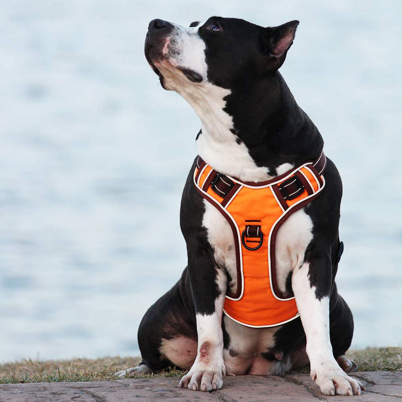 [Australia] - EAVSOW Dog Harness - No-Pull Pet Harness - Adjustable Outdoor Pet Vest - Reflective Oxford Material Vest for Dogs - Easy Control for Large Dogs 