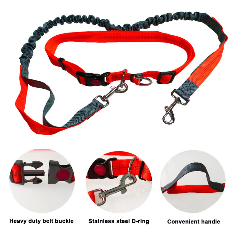 QitinDasen Hands-Free Dog Leash, Orange Adjustable Waist Belt and Gray Stretchy Bungee Leash, Jogging Dog Leash with Reflective Stitching - PawsPlanet Australia