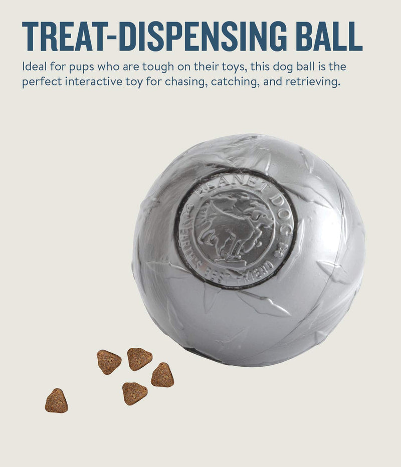 Planet Dog Orbee-Tuff Diamond Plate Silver Treat-Dispensing Dog Toy, Large - PawsPlanet Australia