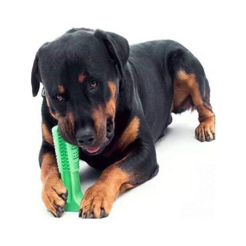 Dog Teeth Cleaning Toys Dog Chew Toothbrush - Natural Rubber Bite Resistant Chew Toys for Small, Medium, Large Dogs Pets Chewers. It's All for The Happiness of Our Little Friend 5-25lbs - PawsPlanet Australia