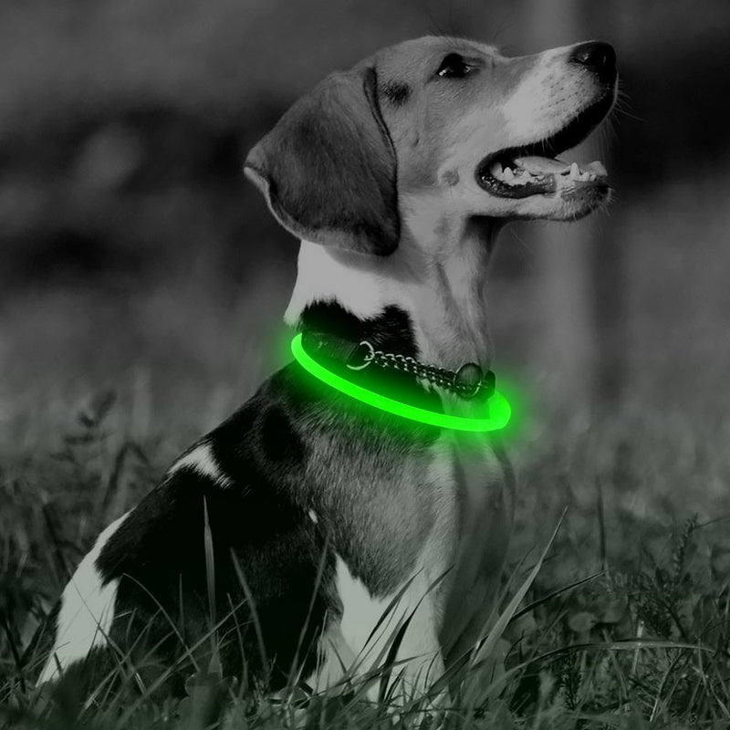 [Australia] - Clan-x USB Rechargeable LED Dog Collars Reflective Dog Collar, Light Up Dog Collars for Small Medium Large Dogs Green 