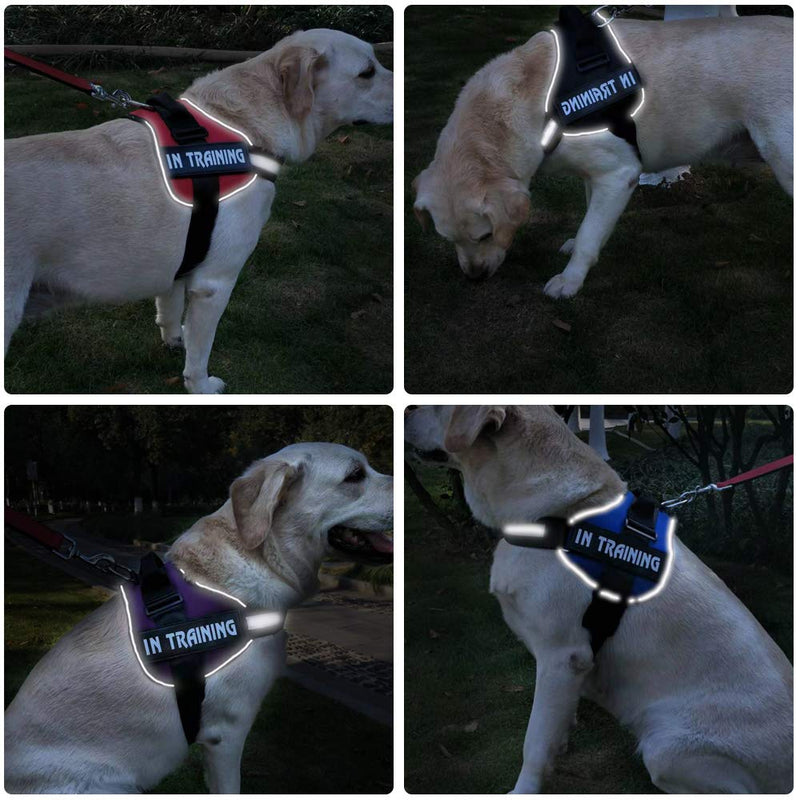 [Australia] - JAD No Pull Dog Training Harness Adjustable Pet Vest,Reflective Breathable Pet Harness with Handle for Outdoor Walking-No More Pulling, Tugging or Choking for Small Medium Large Extra Large Dogs L Blue 