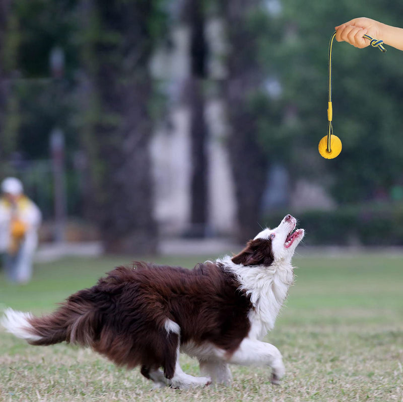 Ball with Rope Dog Toy,Fling Dura Foam Ball Dog Toy,Dog Water Float Toy Ball，Small Medium Large Dog Tug Toy (2.75inch(Small &Medium Dog)) 2.75inch(Small &Medium Dog) - PawsPlanet Australia