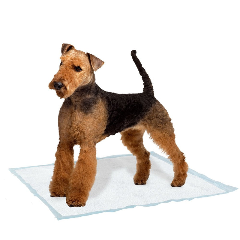 Ferplast Genico Dog Mat, Large, 60 x 90 cm L - PawsPlanet Australia