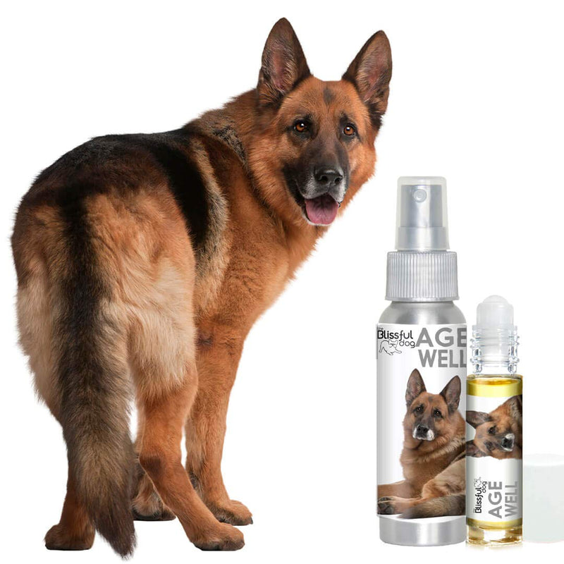 [Australia] - The Blissful Dog Age Well Dog Aromatherapy 0.45-Ounce Roll-On German Shepherd 