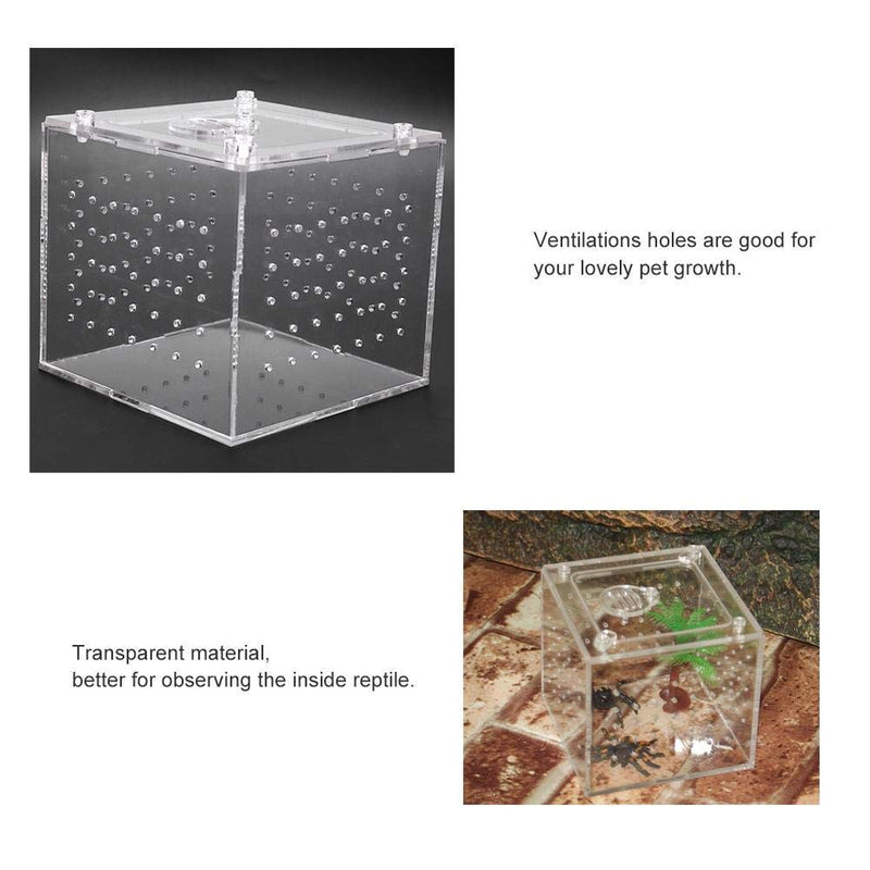 Acrylic Reptile Breeding Box Transparent Live Food Storage Insect Viewing Box for Spider Crickets Snails Hermit Crabs Tarantulas Geckos 3.9x3.9x3.5inch - PawsPlanet Australia