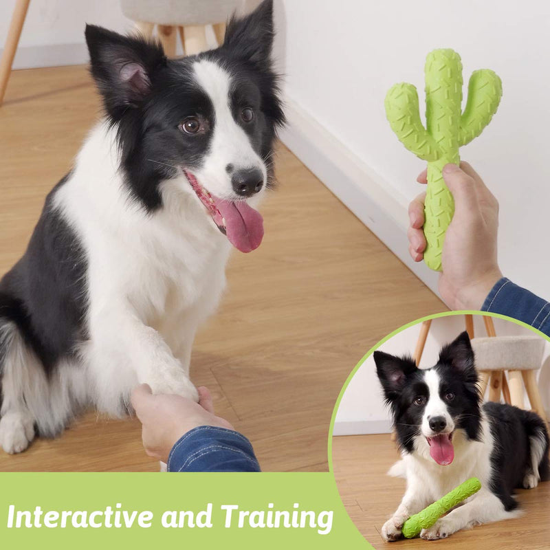 MewaJump Dog Chew Toys, Durable Rubber Dog Toys for Aggressive Chewers, Cactus Tough Toys for Training and Cleaning Teeth, Interactive Dog Toys for Small/Medium Dog Green Cactus - PawsPlanet Australia