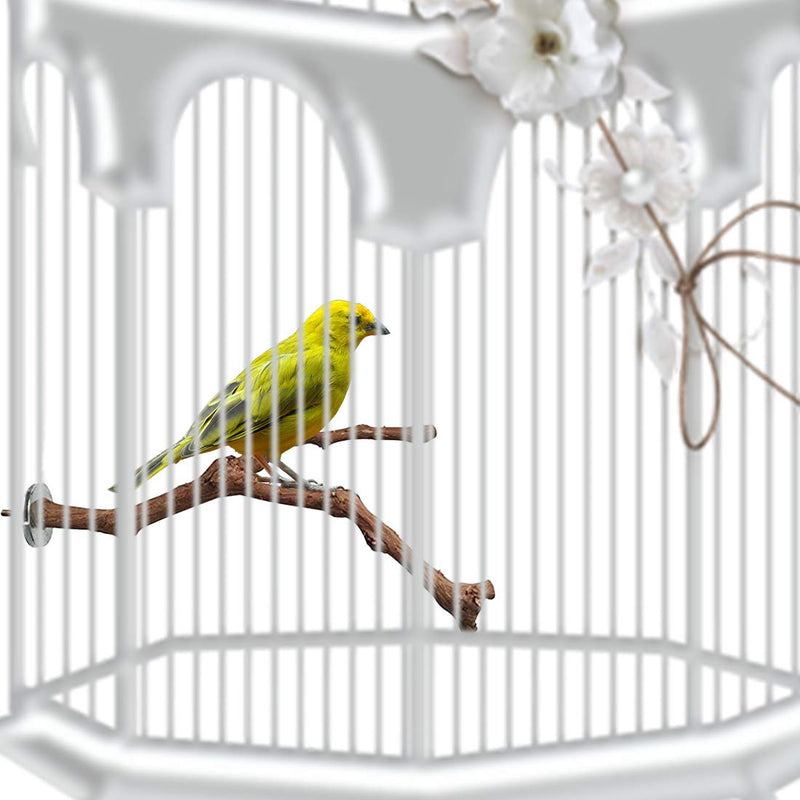 PINVNBY Bird Perch Stand,Parrot Perches,Natural Birdcages Standing Climbing Paw Grinding Wood Branch Stick Cage Accessories Toys for Parakeet Lovebirds Budgies Cockatiels Finches Types-A - PawsPlanet Australia