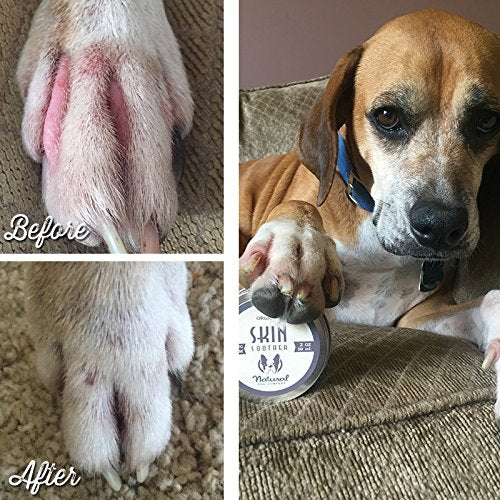 Natural Dog Company - SKIN SOOTHER | All-Natural, Organic, Vegan Balm for Dry, Itchy Skin, Skin Irritations, Minor Cuts, Scrapes, Bug Bites and more - 0.25oz Travel Tin - PawsPlanet Australia