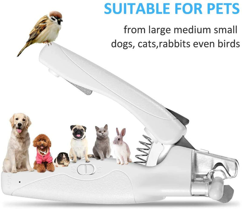 Dogs Nail Clippers Trimmers Pets Cats Grooming Tool with Small LED Light - Claw File Safety Guard avoid Over-cutting - PawsPlanet Australia