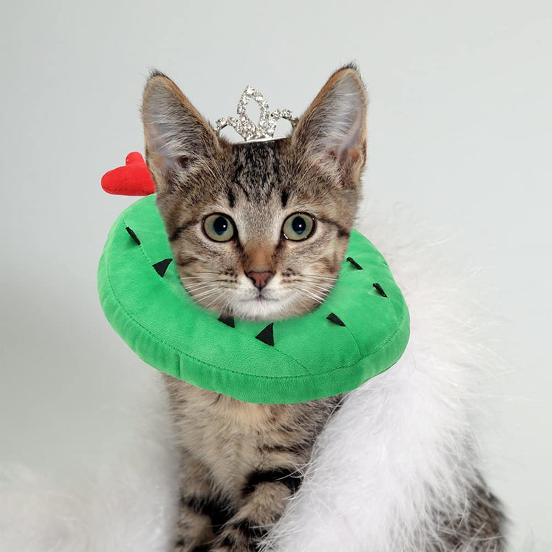 EXPAWLORER Cat Recovery Collar Soft Cat Cone Collar Cute Donut for Wound Healing, Protective E- Collar After Surgery, Elizabethan Collars for Kitten and Small Dogs Cactus - PawsPlanet Australia