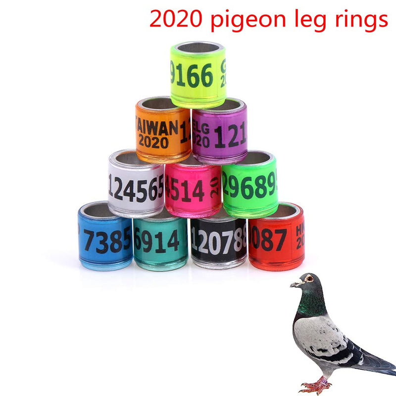 Diyiming 200 Pcs Pigeon Leg Rings Hoop Identify Dove Bands 8 MM Multi-Color Bird Of Peace Leg Band Numbered Al GB Training Ring for Parrot Quail Finch Canary Hatch Poultry Foot Rings Chicks Duck Clips Colourful-200 - PawsPlanet Australia