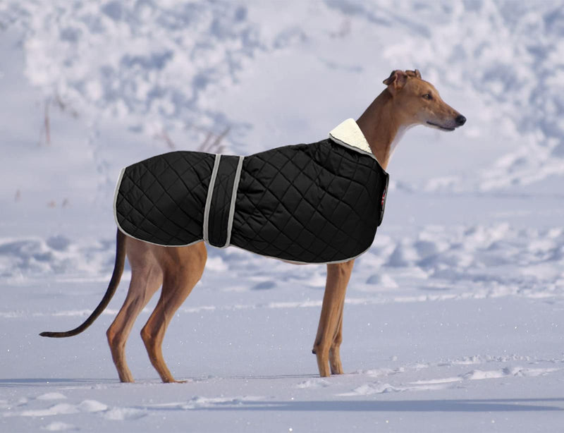 Warm Thermal Quilted Greyhound Coat with harness hole, Dog Winter Coat with Warm Fleece Lining, Outdoor Dog Apparel for Medium, Large Dog -Black-XS XS Black(Diamond lattice) - PawsPlanet Australia