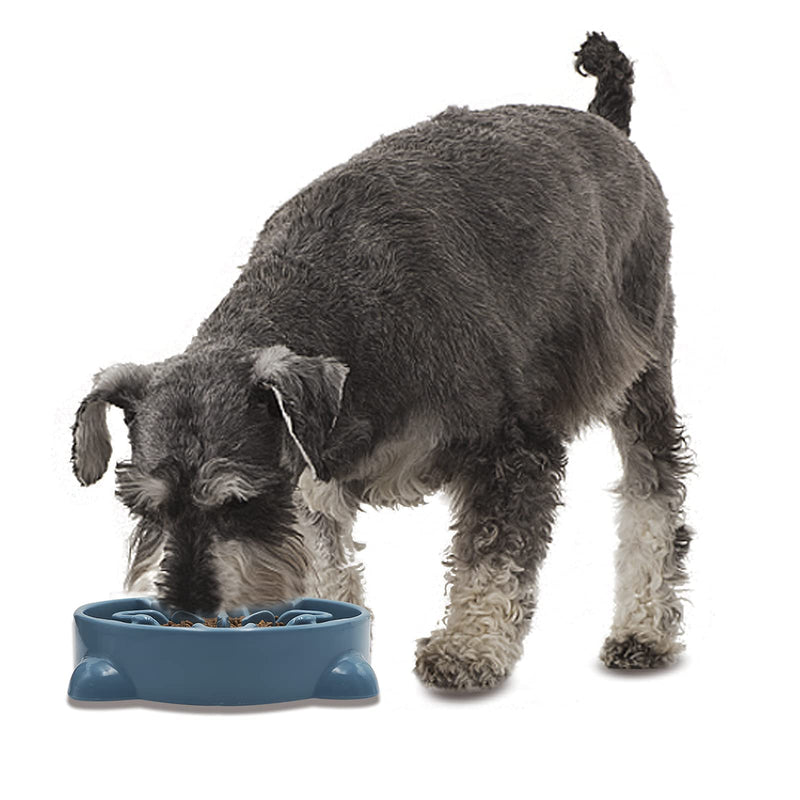 Vannon Slow Feeder Dog Bowls Anti-Choking Non Toxic Feeding Dish Non Slip Durable Dog Puzzle Bowl Bloat Stop Dog Food Bowl for Medium Large Dogs Gtar - Blue - PawsPlanet Australia