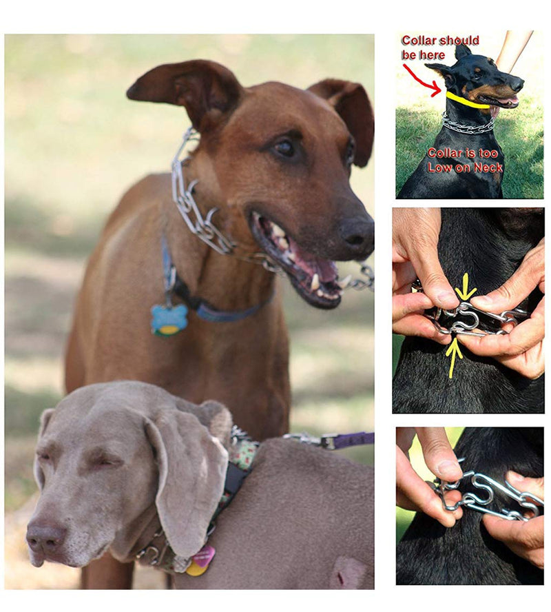 [Australia] - Pettycart Dog Prong Collar, Durable Stainless Steel Dog Pinch Training Collars for Medium Large Large Dogs M-19.6" Black 