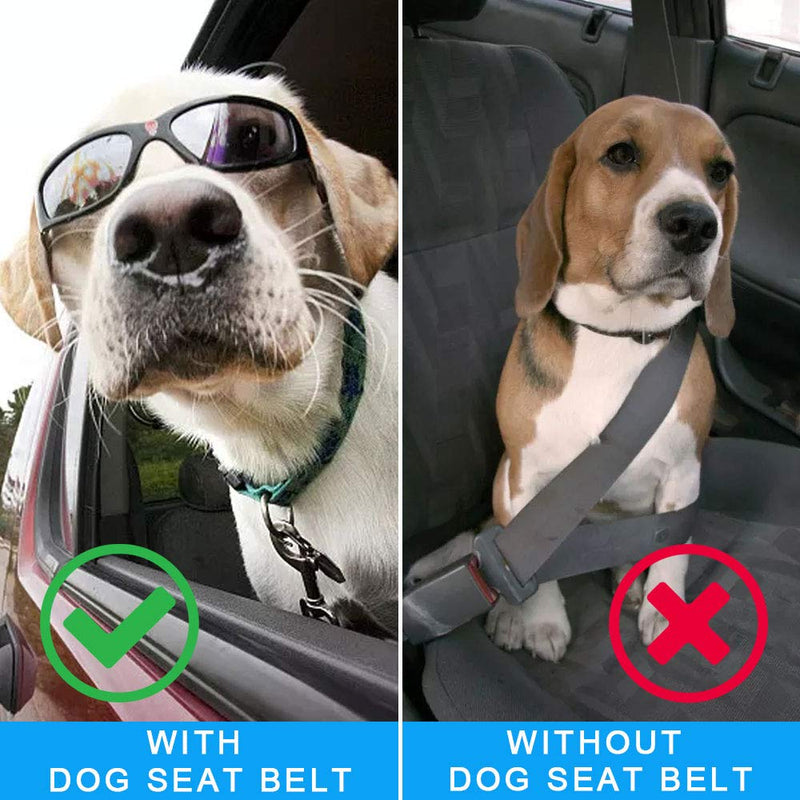 Dog Seat Belt for Car - Pet Cat Dog SeatBelt Harness Adjustable Length - Strong Dog Car Seat Belt Clip for Travel Safety - Elastic Anti Shock Buffer Nylon Bungee Lead - Fit Small, Medium, Large Dogs - PawsPlanet Australia