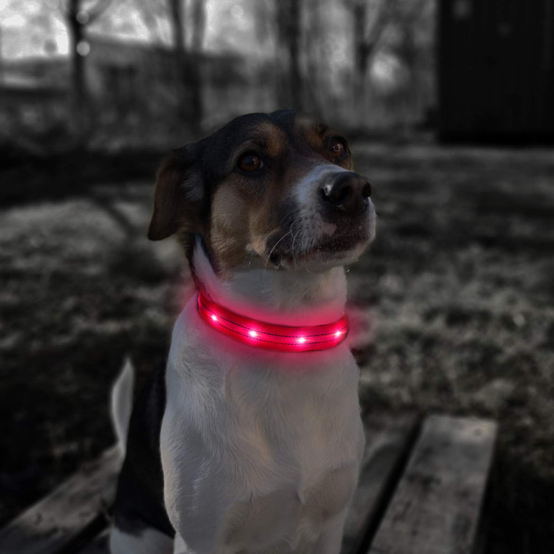 Flashing Dog Collar Rechargeable LED Luminous Dog Collars Waterproof Light Up Dog Collars Super Bright 3 Modes Adjustable for Small Medium Large Dogs, Pink-M M (38-50cm,2.5cm) - PawsPlanet Australia