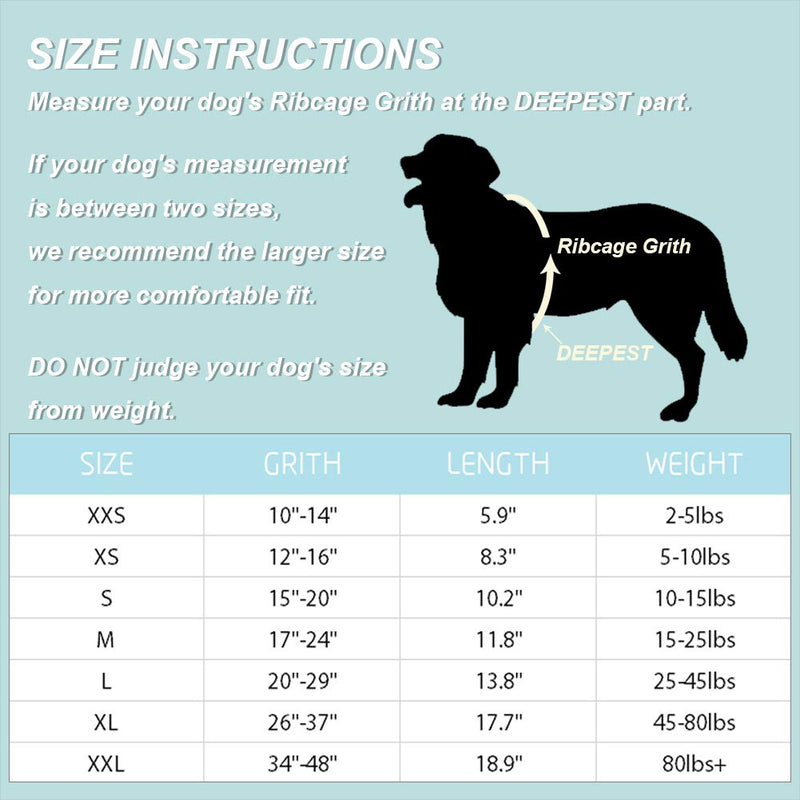 [Australia] - ChezAbbey Dog Life Jacket Adjustable Dog Lifesaver Preserver Swimsuit Dog Life Vest for Swimming and Boating XXS:10-14 inch(Ribcage Girth) Blue Bone 