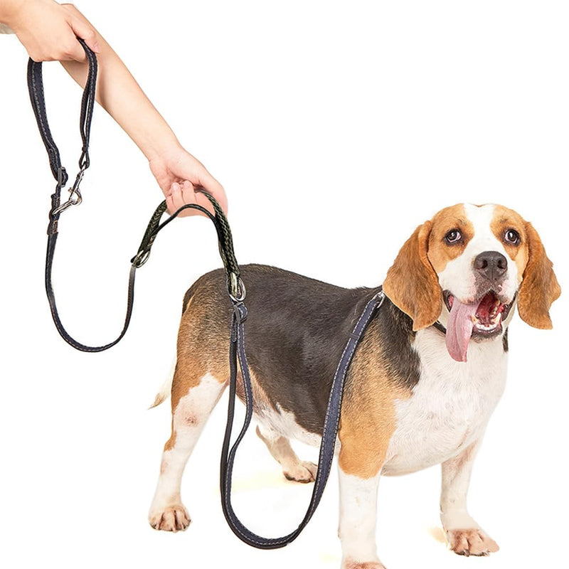 pawstrip Hands Free Dog Leash with Traffic Handle Adjustable Double Leash for Two Dogs Multifunctional Crossbody Dog Running Leash Heavy Duty Dog Walking Belt for Large Medium Small Dogs - PawsPlanet Australia