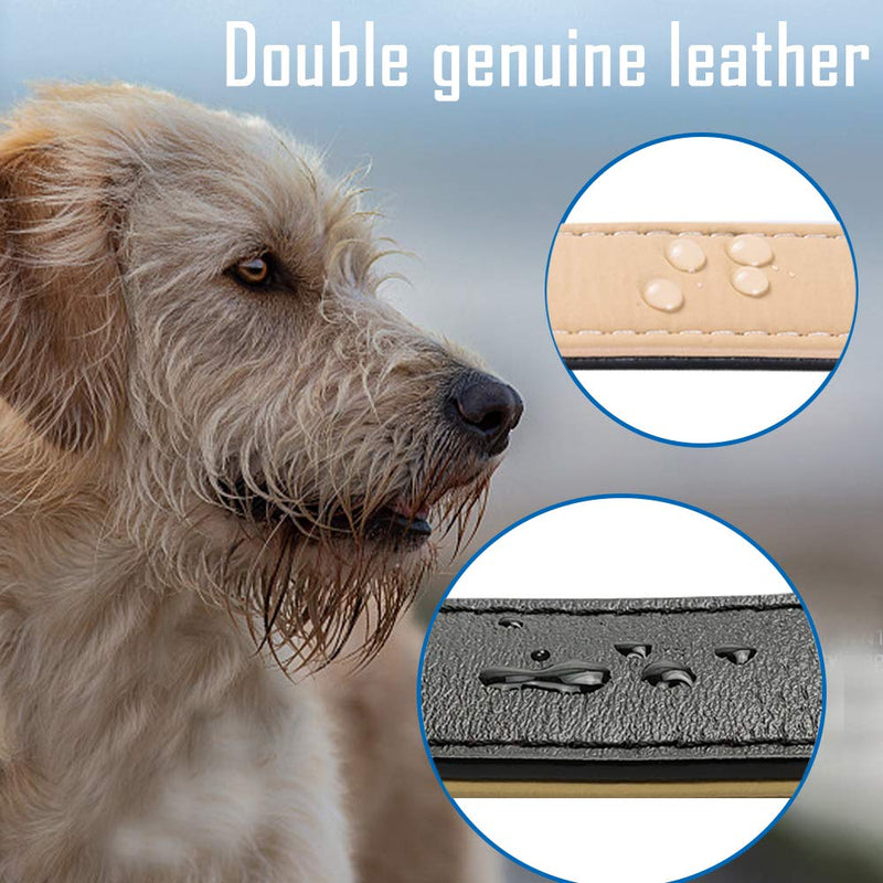 Genuine Leather Dog Collar Soft Padded Collars for Large Medium Small Breed Dogs (M)Black M - PawsPlanet Australia