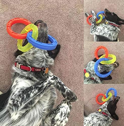 [Australia] - Nerf Dog Multi-Ring TPR Tuff Tug Dog Toys One-Size-for-Most Blue/Green/Orange 