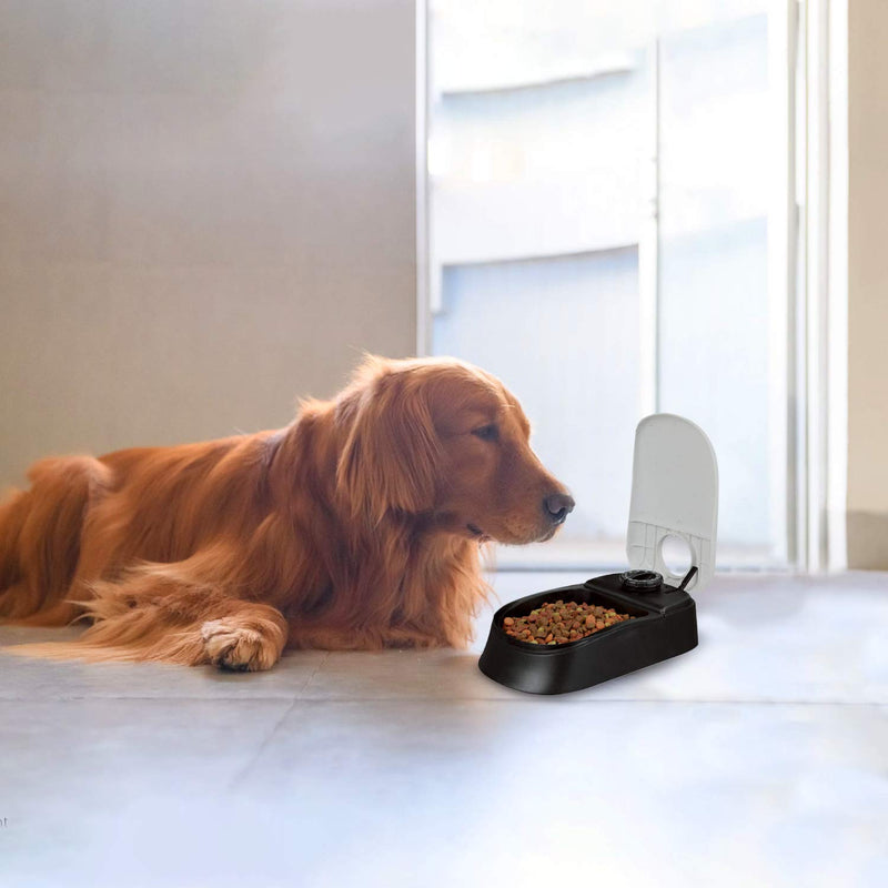 [Australia] - PAWISE Automatic Pet Feeder for Dogs and Cats, Food Dispenser Station with Timer, 100% BPA Free, Dishwasher Safe, Great Gift Ideas 1.5 Cup-Single 