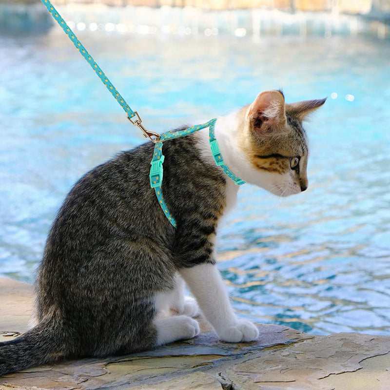 SCIROKKO Adjustable Cat Harness and Leash Set Escape Proof - Vest Harness for Kitties Walking Outdoor Pineapple - PawsPlanet Australia