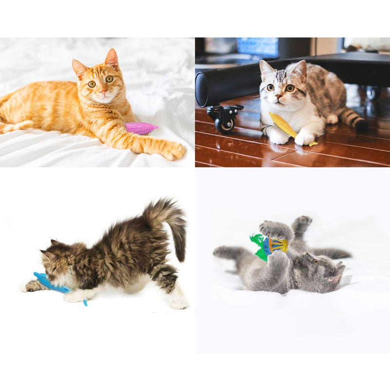 [Australia] - Jmxu's Catnip Toys for Cats Interactive Fish Shape Toothbrush Refillable Catnip Chew Toys for Cats Kitten Teeth Cleaning Blue,Pink&Orange 