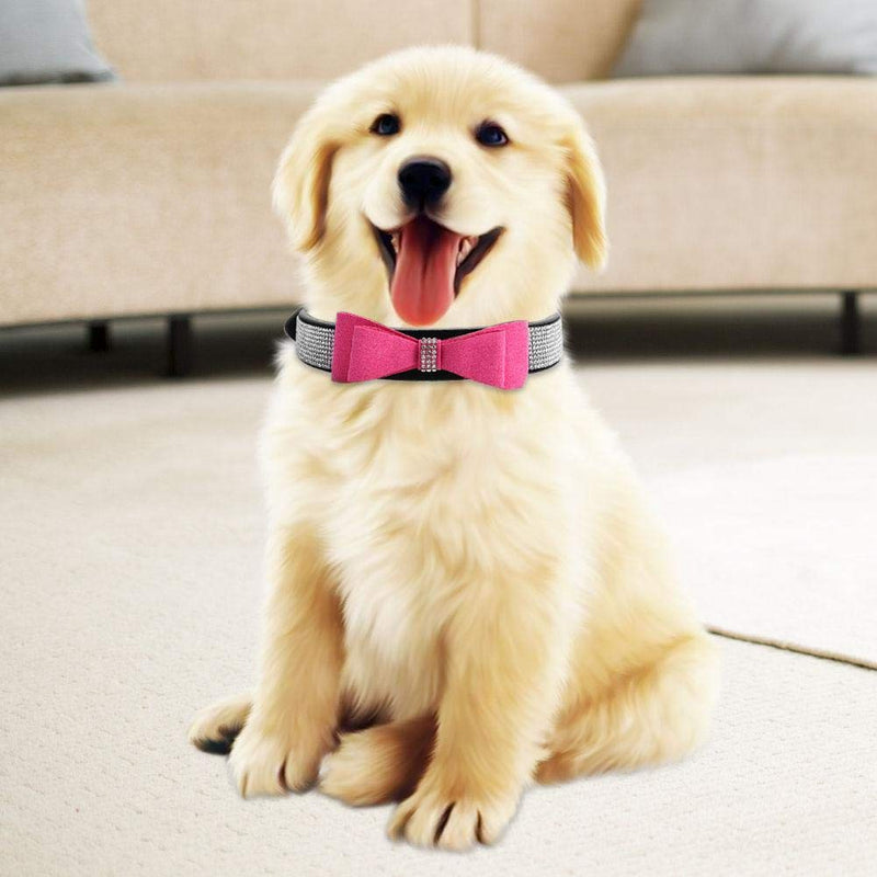 DAUERHAFT Pet Collar with Bowknot Dog Leash Retractable Dog Collars Traction Rope Pet Dog Harness Soft Walk Collar Safety Strap (size:M) - PawsPlanet Australia
