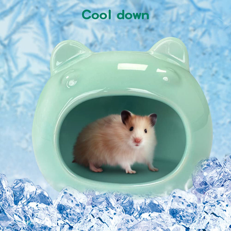 AmazeFun Small Pet Hideout Ceramic Adorable House Cozy Bed for Gerbils Hamsters Mice Mini Animals(Cyan) Cyan - PawsPlanet Australia