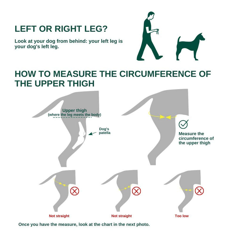 Ortocanis Original Knee Brace for Dogs with ACL, Knee Cap Dislocation, Arthritis - Keeps The Joint Warm - Reduces Pain and Inflammation - 9 Sizes for Left or Right Leg (XXXS - Right) XXXS / Right - PawsPlanet Australia