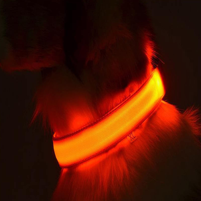 LED dog collar dogs, dog LED light collar, light collar for dogs, collar for dogs adjustable, pet safety collar with 3 lighting modes, for small medium large dogs red L - PawsPlanet Australia