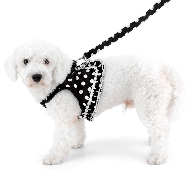 SMALLLEE_LUCKY_STORE No Pull Polka Dot Small Dog Cat Harness with Crown, Soft Mesh Padded Vest Harness and Leash Set for Girls S (chest 12.6",fit 3-5 lbs) Black - PawsPlanet Australia