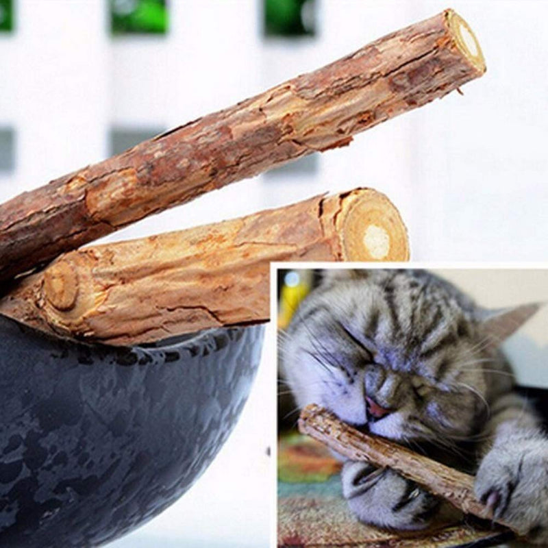 AILOVA 5Pcs Cat Catnip Sticks,Cat Molar Stick Cat Cleaning Teeth Chew Toys for Teeth Cleaning - PawsPlanet Australia