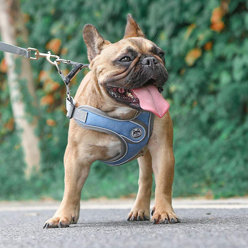 Rantow Reflective Step-in Dog Harness and Lead Set | No Pull Breathable | Training Walking Outdoor Pet Chest Vest Harness + 150cm Long Dog Leash Rope for Small Medium Large Dogs (M, Blue) M - PawsPlanet Australia