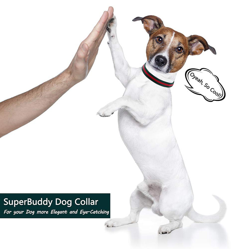 SuperBuddy Premium Dog Collar, Soft Comfortable Dog Collars in Noble Style, Adjustable Dog Collar with Metal Buckle Safety for Small Medium Large Dogs S (Neck Girth:9.6"-13.7", Width:5/8") - PawsPlanet Australia