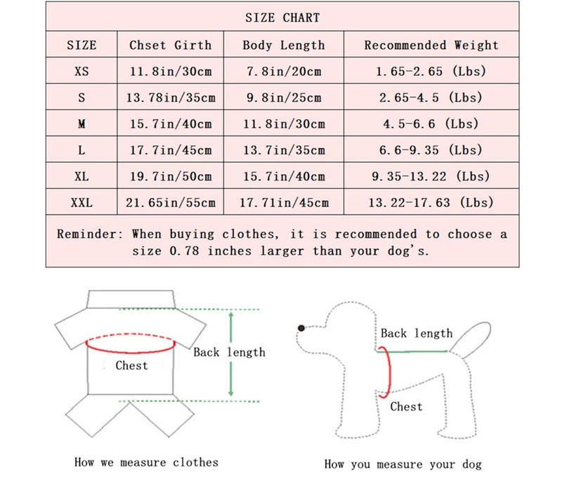 Dog Dresses, Fashion Pet Dog Clothes, Striped Mesh Puppy Dog Princess Dresses Blue X-Small - PawsPlanet Australia