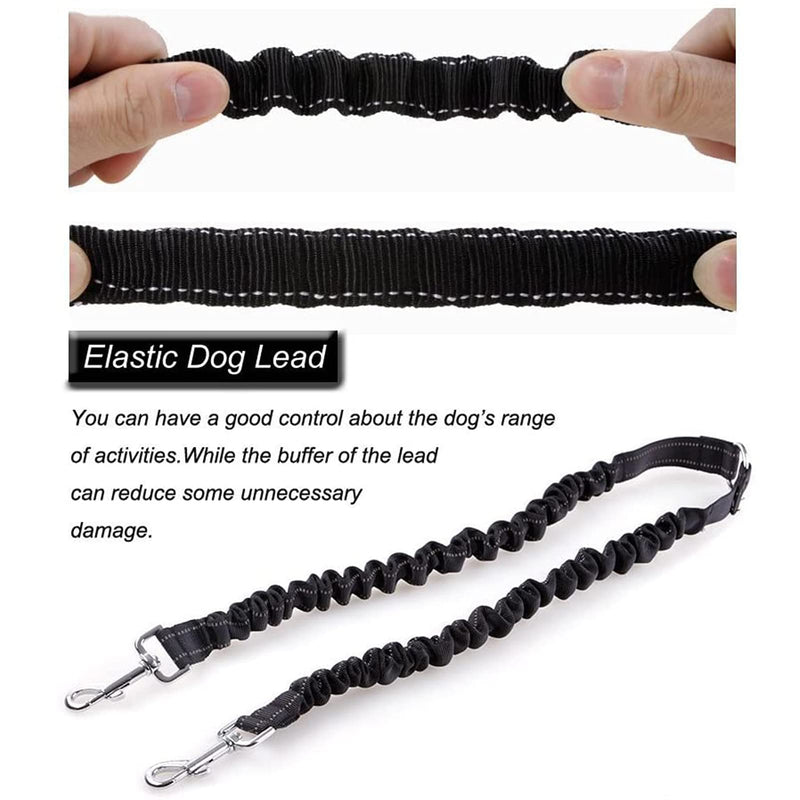 MEKEET Bungee Double Dog Coupler Lead, No Tangle Two 2 Dog Leash and Splitter for Walking Puppy Small Medium Large dog (Black) Black - PawsPlanet Australia